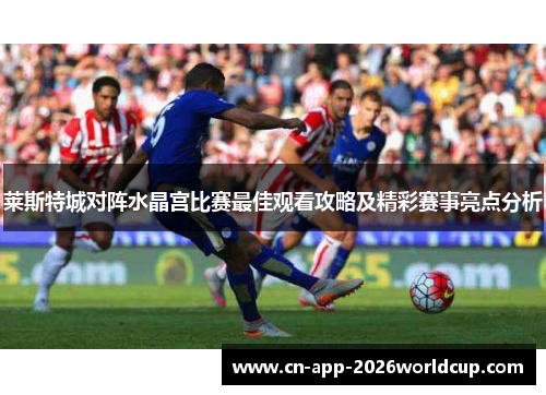 莱斯特城对阵水晶宫比赛最佳观看攻略及精彩赛事亮点分析